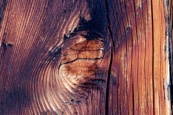 Wooden Background - Photo, Image