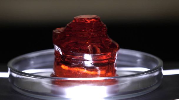 Primer plano del mineral translúcido rojo. Muestra de mineral rojo en taza de vidrio limpio en el laboratorio. Piedra preciosa o mineral sin tratar
 - Foto, Imagen