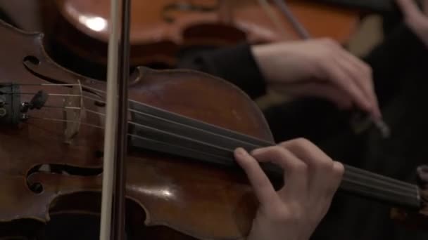 Hegedű játékos végez - Felvétel, videó