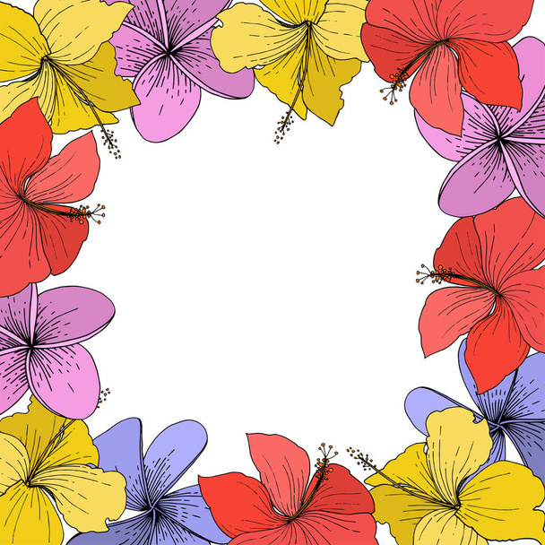 Fleurs tropicales florales vectorielles d'Hibiscus. Encre gravée sur fond blanc. Cadre bordure ornement carré
. - Vecteur, image
