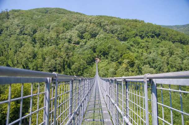 ponte suspensa sobre o vale e as montanhas arborizadas
 - Foto, Imagem