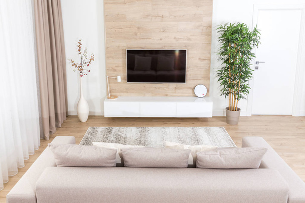 Moderne lichte woonkamer met tv apparatuur - Foto, afbeelding