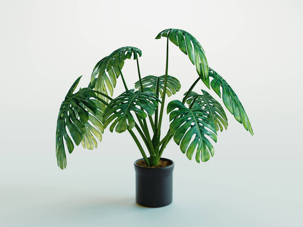Φυτό απομονώνεται σε λευκό φόντο, 3D απόδοση - Φωτογραφία, εικόνα