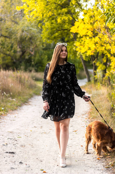 Cute młoda dziewczyna i pies spacer w parku. Nanosi się psów, polowanie, wchodzisz i krótkich nogach. Dziewczyna w sukience. - Zdjęcie, obraz