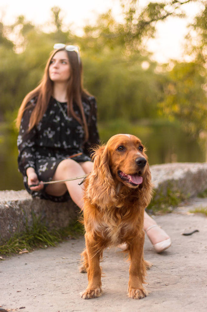 schöne junge Frau mit lustigem Hund im Freien im Park. Sommerzeit und Sonnenuntergang. - Foto, Bild