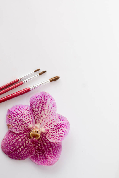 Nahaufnahme von roten Pinseln mit rosa Blume isoliert auf weißem Hintergrund. Tisch für Farbe. Text - Foto, Bild