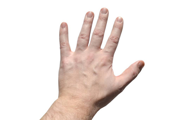 Hand gesture, white background - Photo, Image