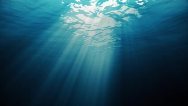 luz bajo el agua
 - Metraje, vídeo