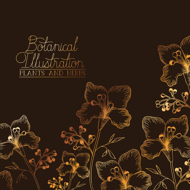 etiqueta de ilustración botánica con plantas y hierbas
 - Vector, imagen