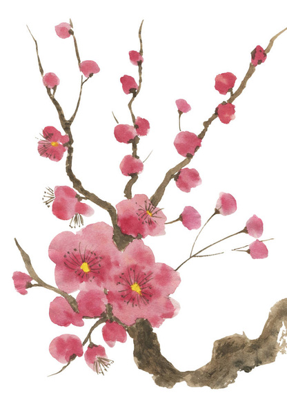 A branch of a blossoming sakura. Pink and red stylized flowers of plum mei and  wild cherry . Watercolor and ink illustration of tree in style sumi-e, go-hua,  u-sin. Oriental traditional painting. - Fotoğraf, Görsel