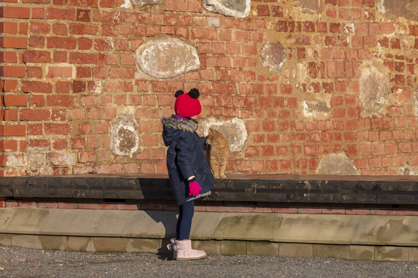 kleines Mädchen streichelt und umarmt eine Ingwerfarbene Katze mit Backsteinmauer im Hintergrund - Foto, Bild