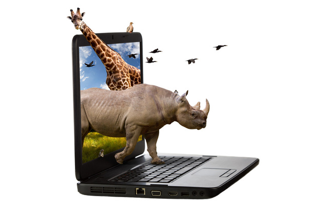 Animales que salen de una pantalla de computadora portátil
 - Foto, Imagen