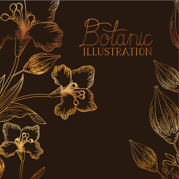 botanische Illustration Etikett mit Pflanzen - Vektor, Bild