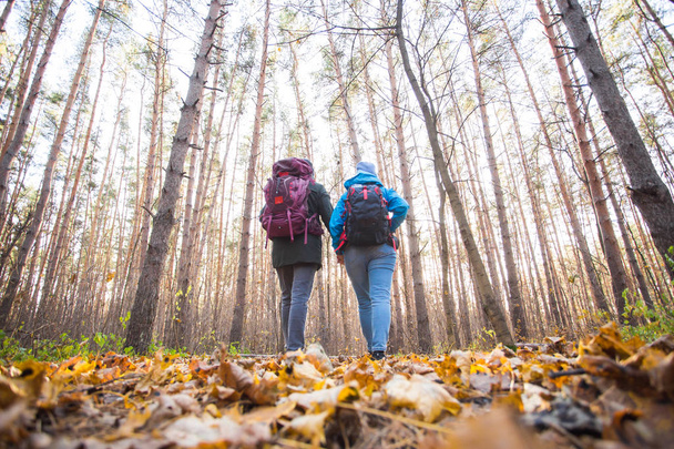 adventure, travel, tourism, hike and people concept - young couple with backpacks in the forest - Foto, imagen