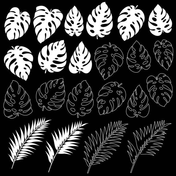 Material de ilustración de plantas tropicales
, - Vector, imagen