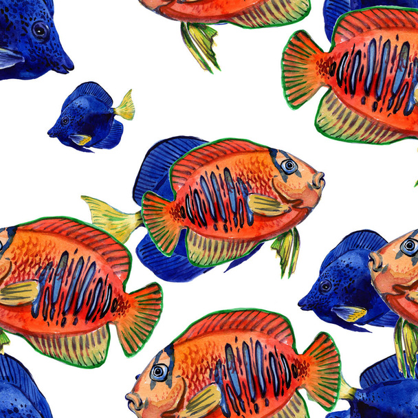 Sea fish. Marine aquarium fish seamless pattern. Tropical fish - 写真・画像