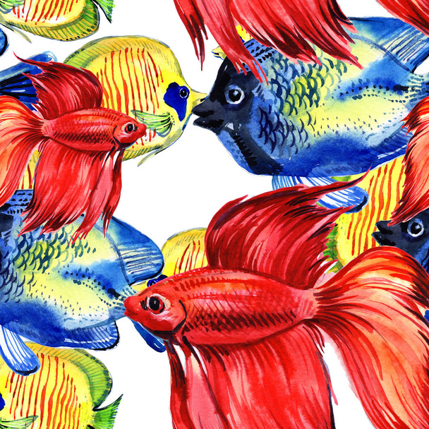 Des poissons de mer. Aquarium marin poisson motif sans couture. Poissons tropicaux
 - Photo, image