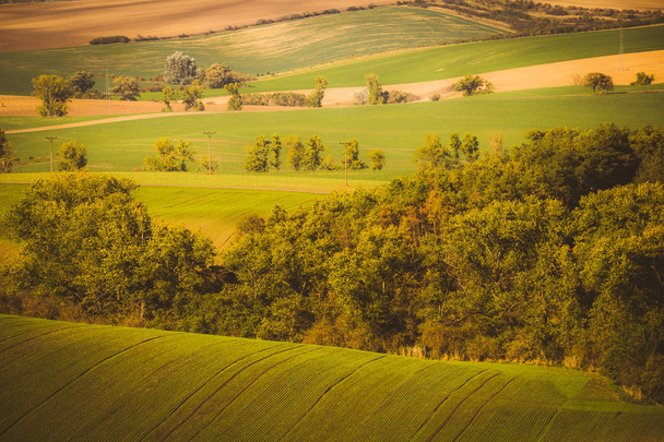 Autumn wavy fields - Zdjęcie, obraz