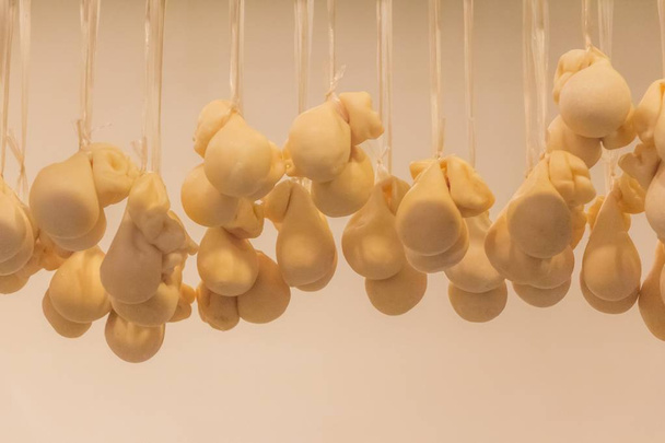 Arvokkaat puhvelimozzarella burrata juustopussit riippuvat kuivaus
 - Valokuva, kuva