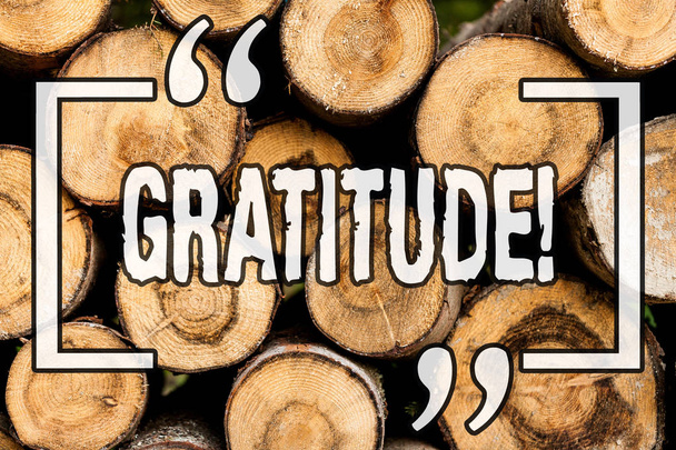 Word writing text Gratitude. Business concept for Quality of being thankful Appreciation Thankfulness Acknowledge Wooden background vintage wood wild message ideas intentions thoughts. - Photo, Image