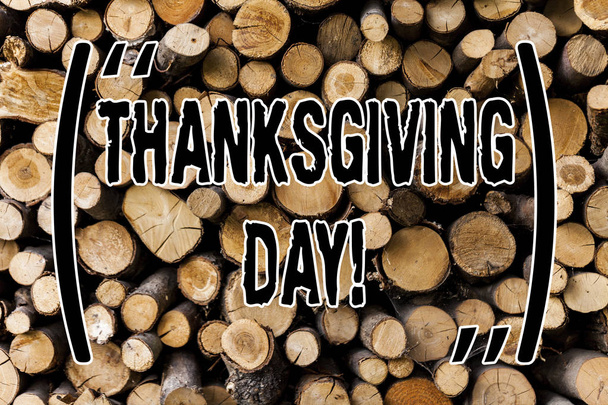 Εννοιολογική χέρι γραφή δείχνει την ημέρα των Ευχαριστιών. Επαγγελματίες φωτογραφία προβάλλοντας γιορτάζοντας ευγνωμοσύνη ευγνωμοσύνη Νοεμβρίου διακοπών ξύλινο υπόβαθρο εκλεκτής ποιότητας ξύλο άγριο μήνυμα ιδέες σκέψεις. - Φωτογραφία, εικόνα