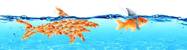 Business - Leadership And Teamwork Concept - Goldfish With Fin Shark And Followers Group Of Small Fishes - Photo, Image