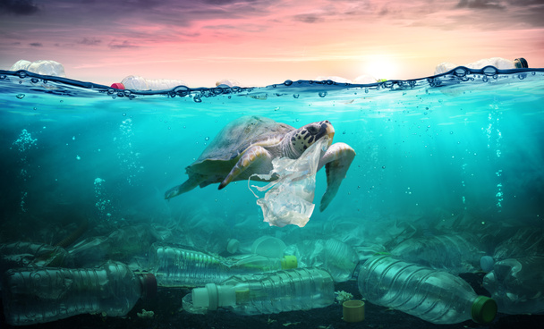 Műanyag szennyezés óceán - teknős enni műanyag zacskót - környezeti probléma - Fotó, kép