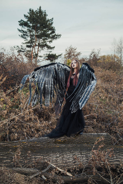 fairy with black wings - 写真・画像