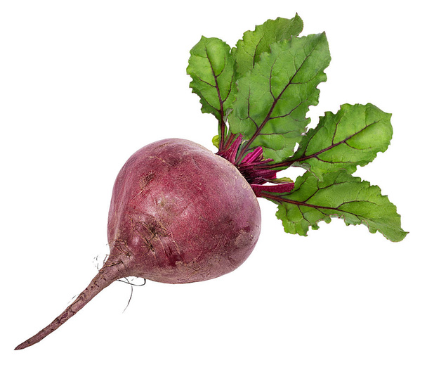 Beetroot with leaves isolated on white - Photo, Image