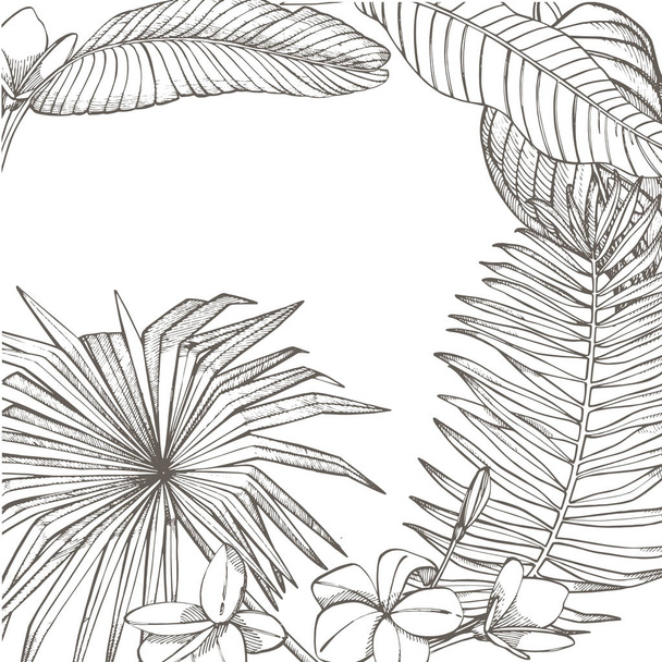 Summer tropical leaves design. Floral background illustration. Invitation or card design with jungle leaves. - Foto, Imagen