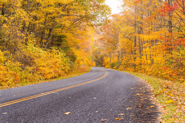Autumn along the Blue Ridge Parkway - Zdjęcie, obraz