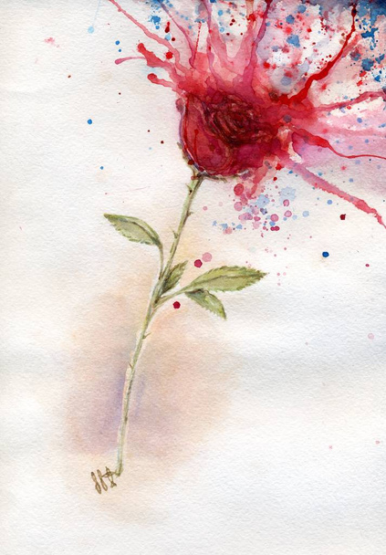 Symbol růže/vášeň - Fotografie, Obrázek