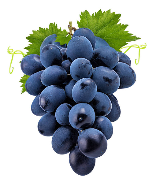 Свіжий виноград ізольований на білому тлі
 - Фото, зображення