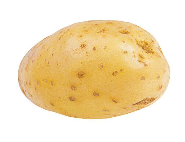 aardappel geïsoleerd op witte achtergrond - Foto, afbeelding