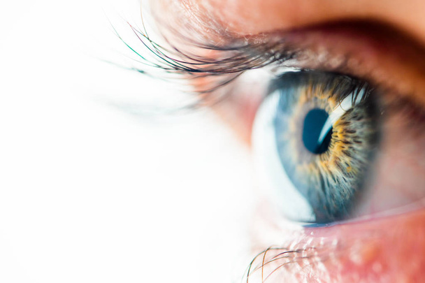Human Eye Macro View - Foto, Imagen