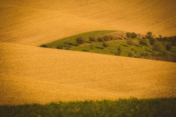 Wavy  autumn fields in Moravian Tuscany, Czech Republic - 写真・画像