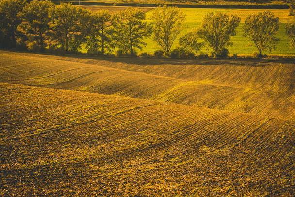 Wavy  autumn fields in Moravian Tuscany, Czech Republic - Foto, Bild