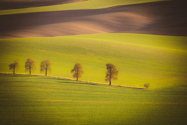 Κυματιστή τομείς φθινόπωρο Moravian Τοσκάνη, Τσεχική Δημοκρατία - Φωτογραφία, εικόνα