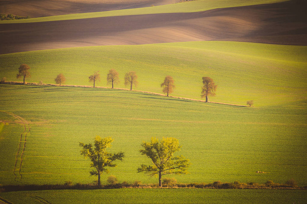 Wavy  autumn fields in Moravian Tuscany, Czech Republic - Foto, immagini