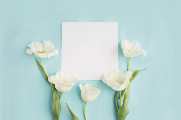 Spring holiday composition with white tulips and blank card on blue background - Photo, image