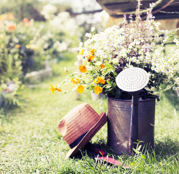 Beautiful field flowers in watering can in country garden, summer concept - Фото, зображення