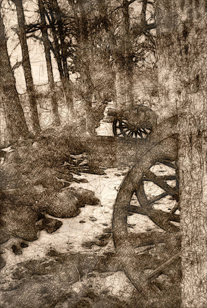 Sketch of an American Civil War Cannon Hidden in the Trees - Photo, Image