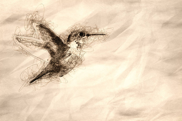 Adorável pouco Rufous Hummingbird pairando em voo profundo no th
 - Foto, Imagem