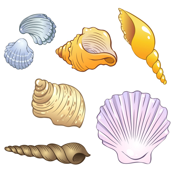 Set of sea shells - Vektori, kuva