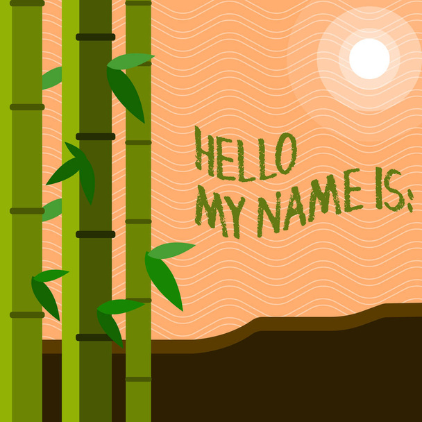 Signo de texto que muestra Hello My Name Is. Foto conceptual conocer a alguien nuevo Introducción Entrevista Presentación
. - Foto, imagen
