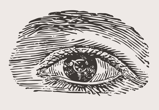 гравіровані урожай око
 - Вектор, зображення