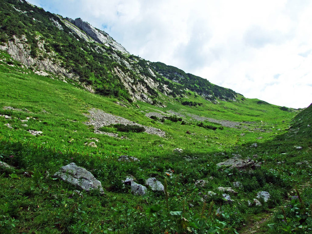 Альпійські пасовища і Луки, на схилах гірського хребта Alpstein і в Thur Долина річки - кантони Санкт-Галлен і Аппенцелль Innerrhoden (Швейцарія) - Фото, зображення