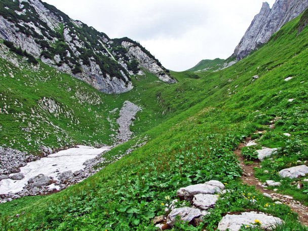 Pastos alpinos y prados en las laderas de la cordillera Alpstein y en el valle del río Thur - Cantones de St. Gallen y Appenzell Innerrhoden, Suiza
 - Foto, Imagen