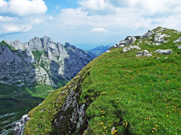 Αλπικά λιβάδια και τα λιβάδια στις πλαγιές της οροσειράς Alpstein και την κοιλάδα του ποταμού Πέμ - καντόνια της Σεν Γκάλεν και Ελβετία Innerrhoden - Φωτογραφία, εικόνα
