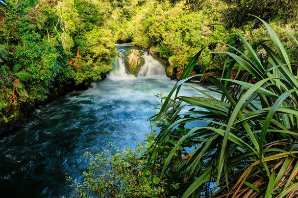 Nowa Zelandia wodospad, otoczony bujnym lasem macierzystego, kaskadowych do jeziora. Okere Falls na rzece Kaituna w pobliżu Rotorua, pl - Zdjęcie, obraz